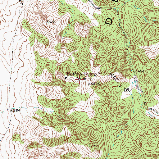 Topographic Map of Buffalo Hump Mine, NV