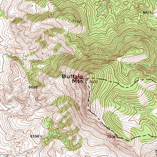 Topographic Map of Buffalo Mountain, NV