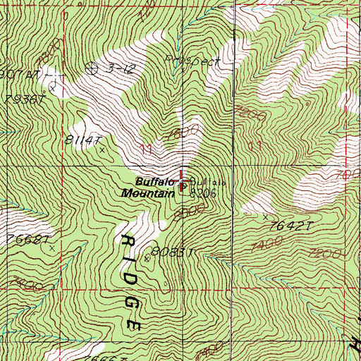 Topographic Map of Buffalo Mountain, NV