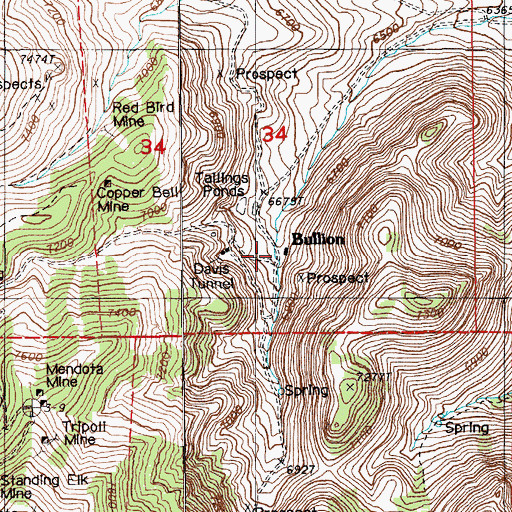 Topographic Map of Bullion, NV