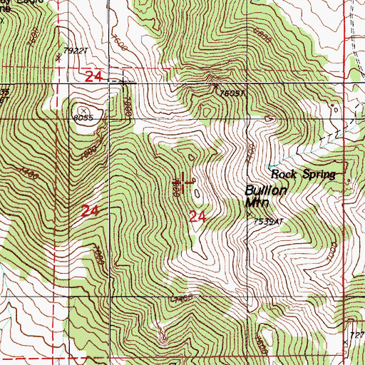 Topographic Map of Bullion Mountain, NV