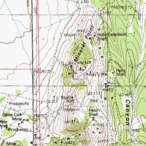 Topographic Map of Bullwhacker Mine, NV