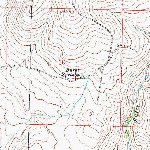 Topographic Map of Burnt Springs, NV