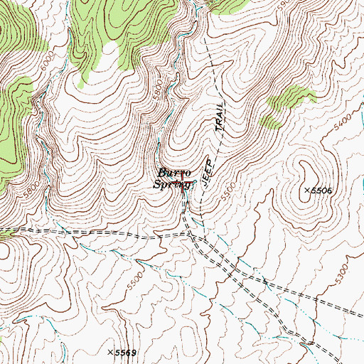 Topographic Map of Burro Spring, NV