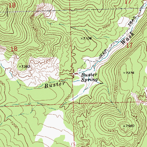 Topographic Map of Buster Spring, NV