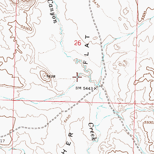 Topographic Map of Butcher Flat, NV
