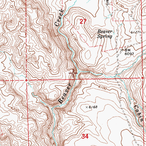 Topographic Map of Cabin Creek, NV