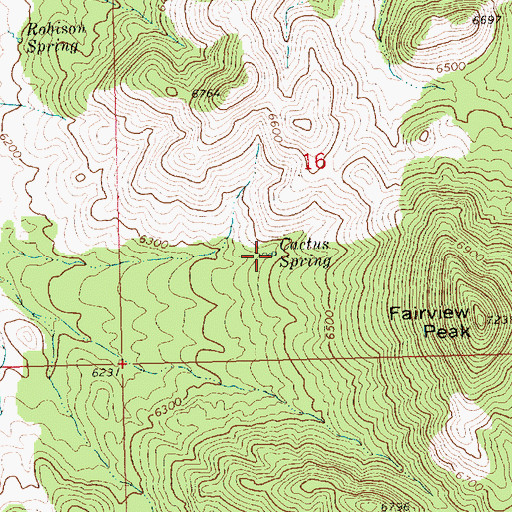 Topographic Map of Cactus Spring, NV