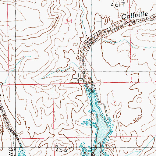 Topographic Map of Callville Wash, NV