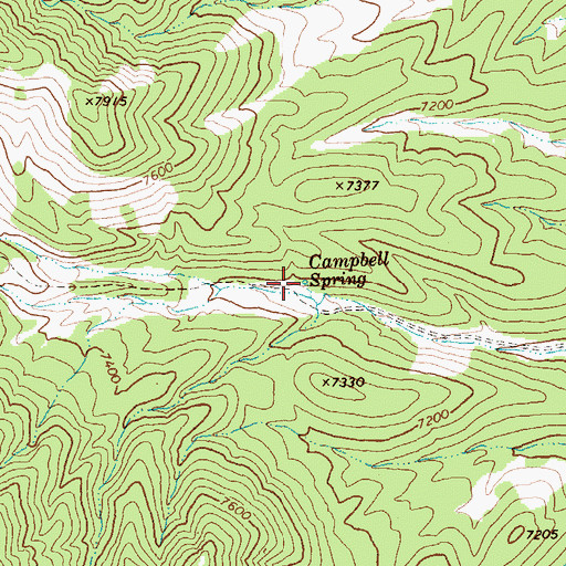 Topographic Map of Campbell Spring, NV