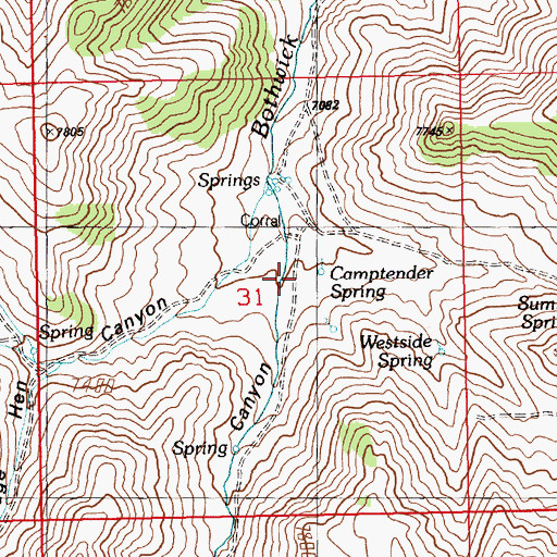 Topographic Map of Camptender Spring, NV