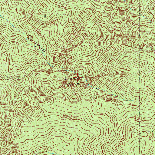 Topographic Map of Canyon Spring, NV