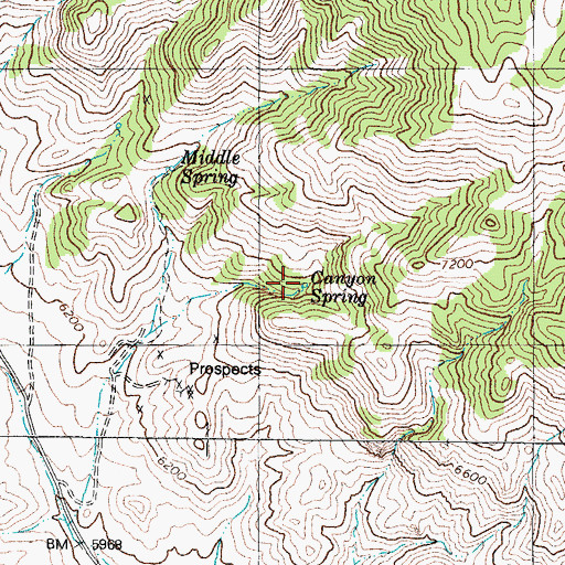Topographic Map of Canyon Spring, NV
