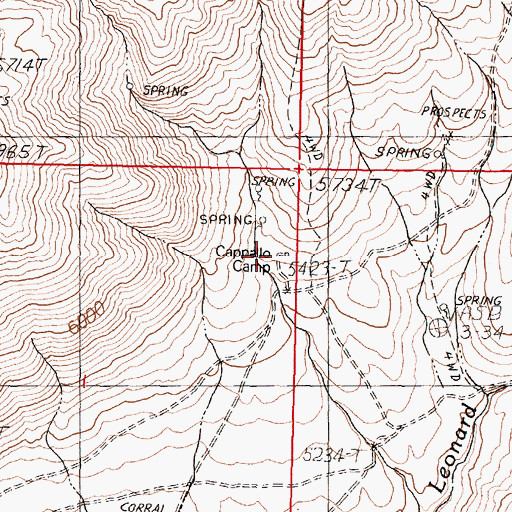 Topographic Map of Cappallo Camp, NV