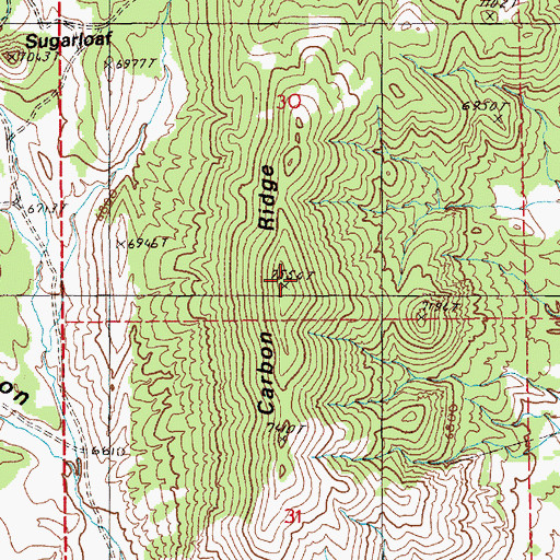 Topographic Map of Carbon Ridge, NV
