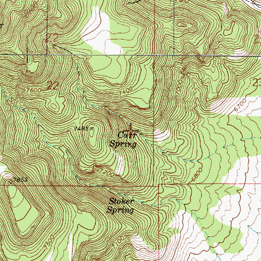 Topographic Map of Carr Spring, NV