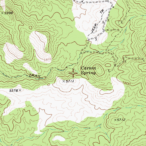 Topographic Map of Carson Spring, NV