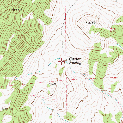 Topographic Map of Carter Spring, NV
