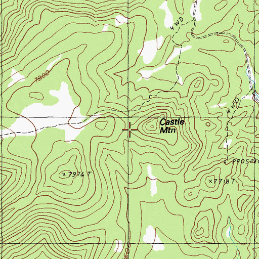 Topographic Map of Castle Mountain, NV
