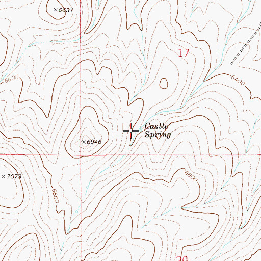 Topographic Map of Castle Spring, NV