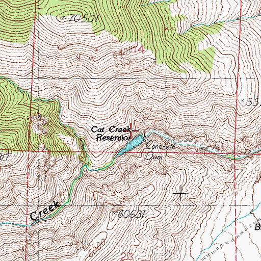 Topographic Map of Cat Creek, NV
