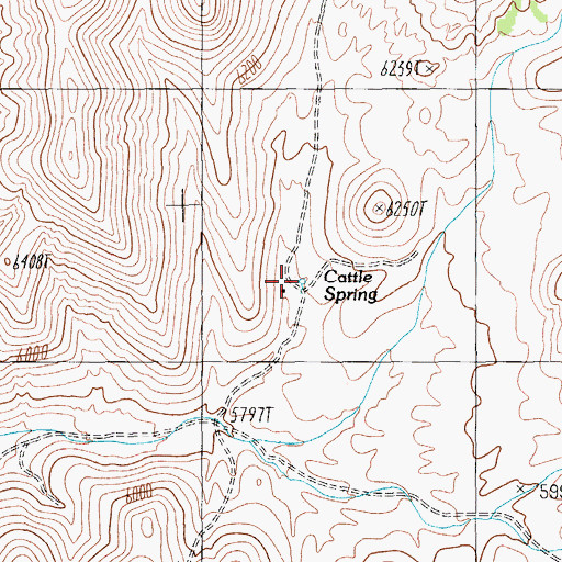 Topographic Map of Cattle Spring, NV