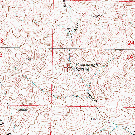 Topographic Map of Cavanaugh Spring, NV
