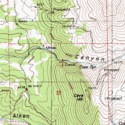 Topographic Map of Cave Spring, NV