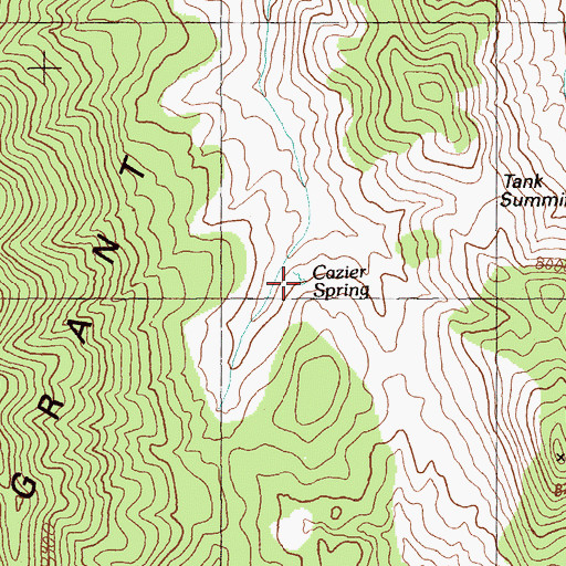 Topographic Map of Cazier Spring, NV