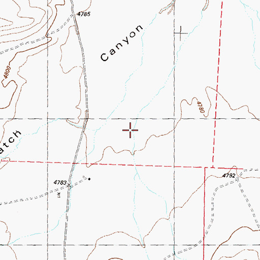Topographic Map of Cedar Canyon, NV