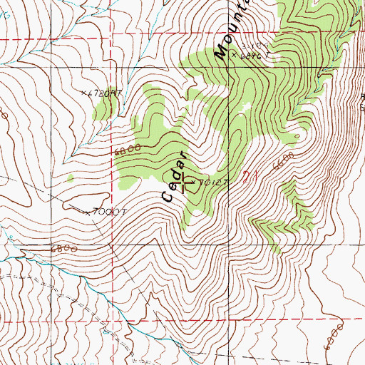 Topographic Map of Cedar Mountain, NV