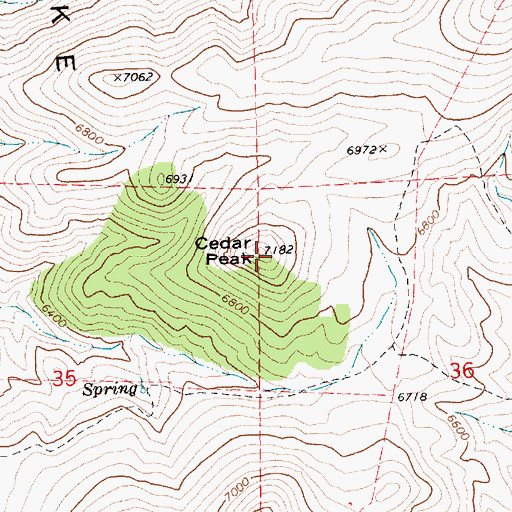Topographic Map of Cedar Peak, NV