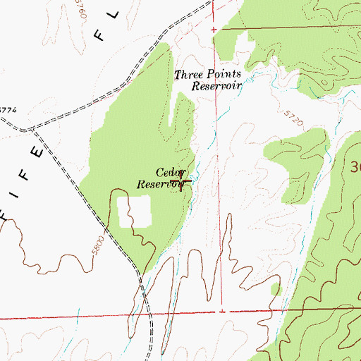 Topographic Map of Cedar Reservoir, NV
