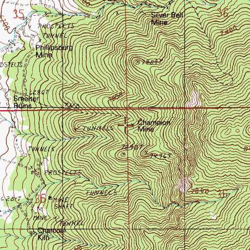 Topographic Map of Champion Mine, NV