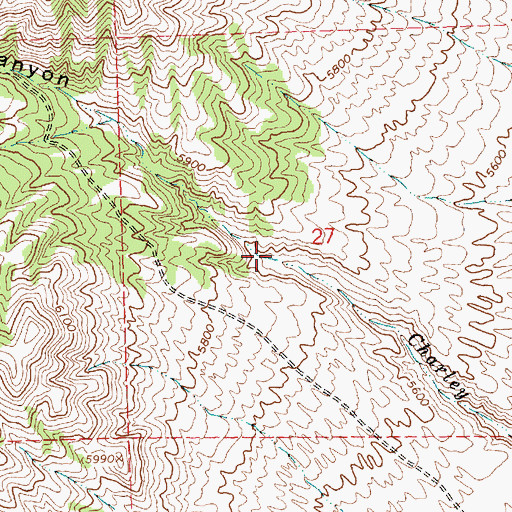 Topographic Map of Charley Canyon, NV