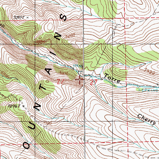 Topographic Map of Cherry Creek, NV