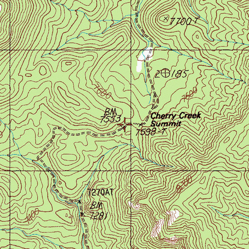 Topographic Map of Cherry Creek Summit, NV