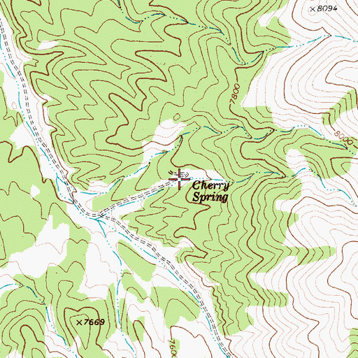Topographic Map of Cherry Spring, NV