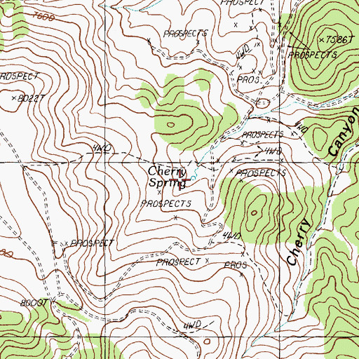 Topographic Map of Cherry Spring, NV