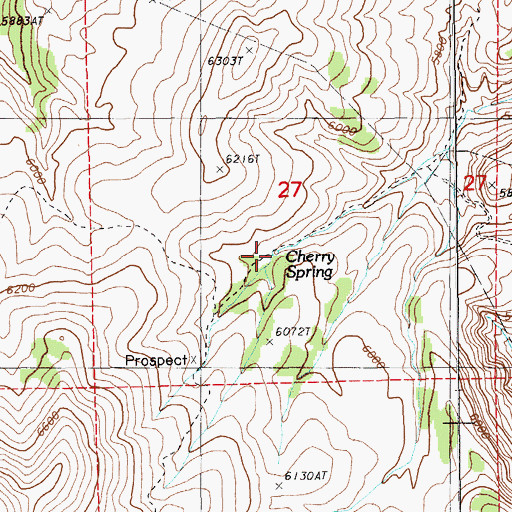 Topographic Map of Cherry Spring, NV