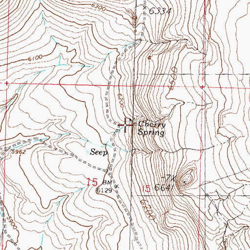 Topographic Map of Cherry Spring, NV