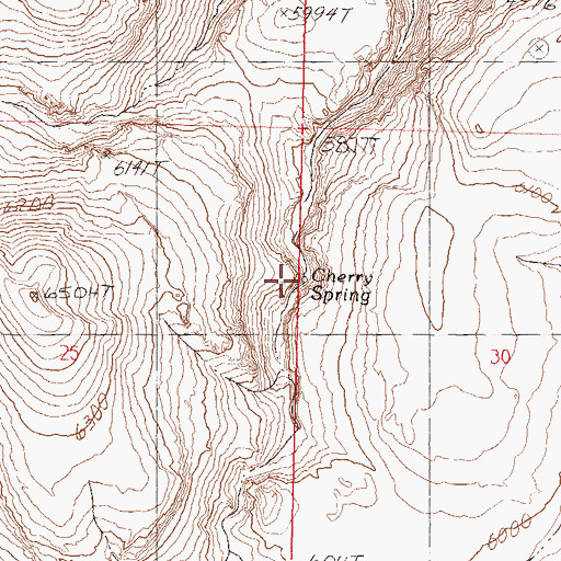 Topographic Map of Cherry Spring, NV