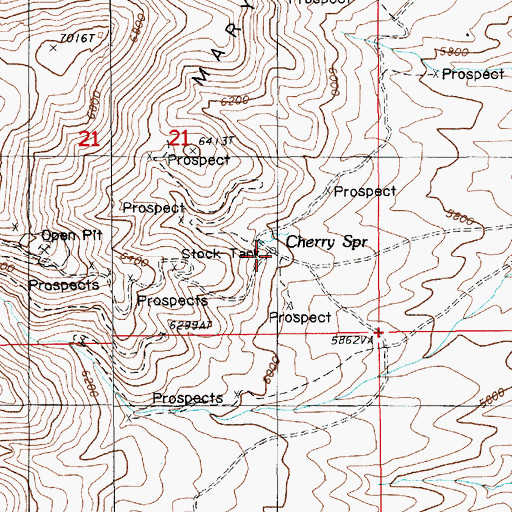 Topographic Map of Cherry Spring, NV