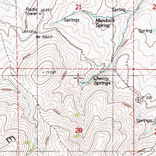 Topographic Map of Cherry Springs, NV
