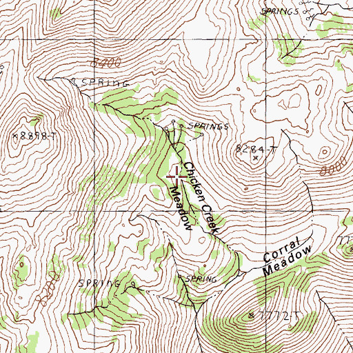 Topographic Map of Chicken Creek Meadow, NV