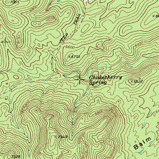 Topographic Map of Chokecherry Spring, NV