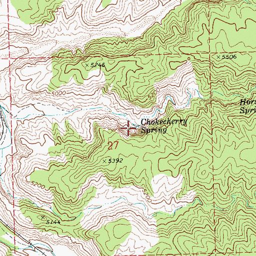 Topographic Map of Chokecherry Spring, NV