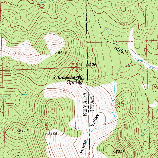 Topographic Map of Chokecherry Spring, NV