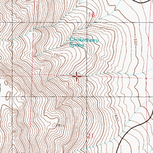 Topographic Map of Chokecherry Spring, NV