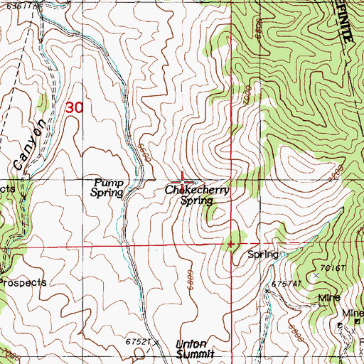 Topographic Map of Chokecherry Spring, NV